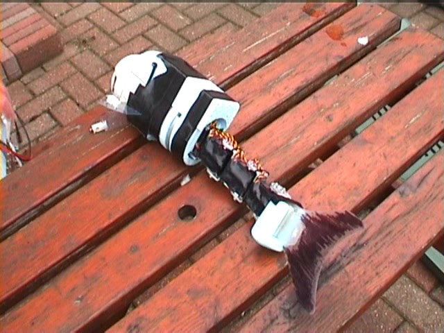 Robot
