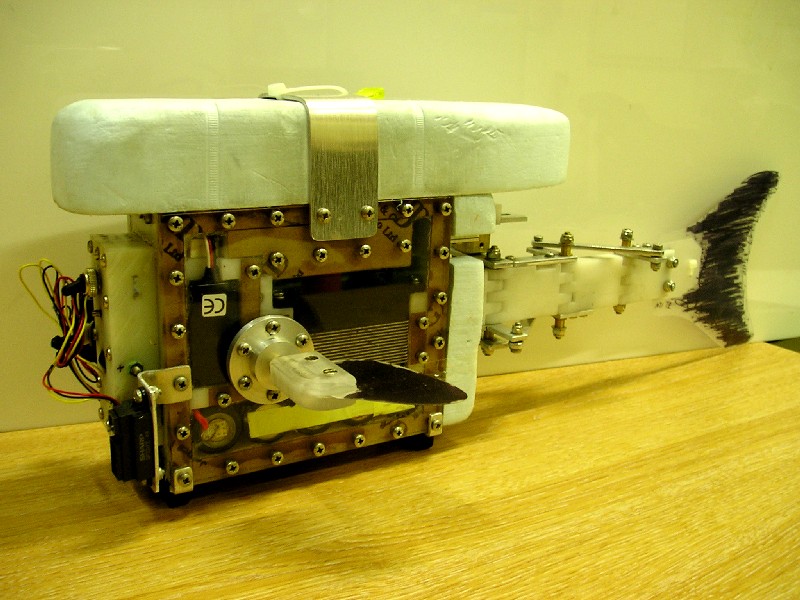 Robot