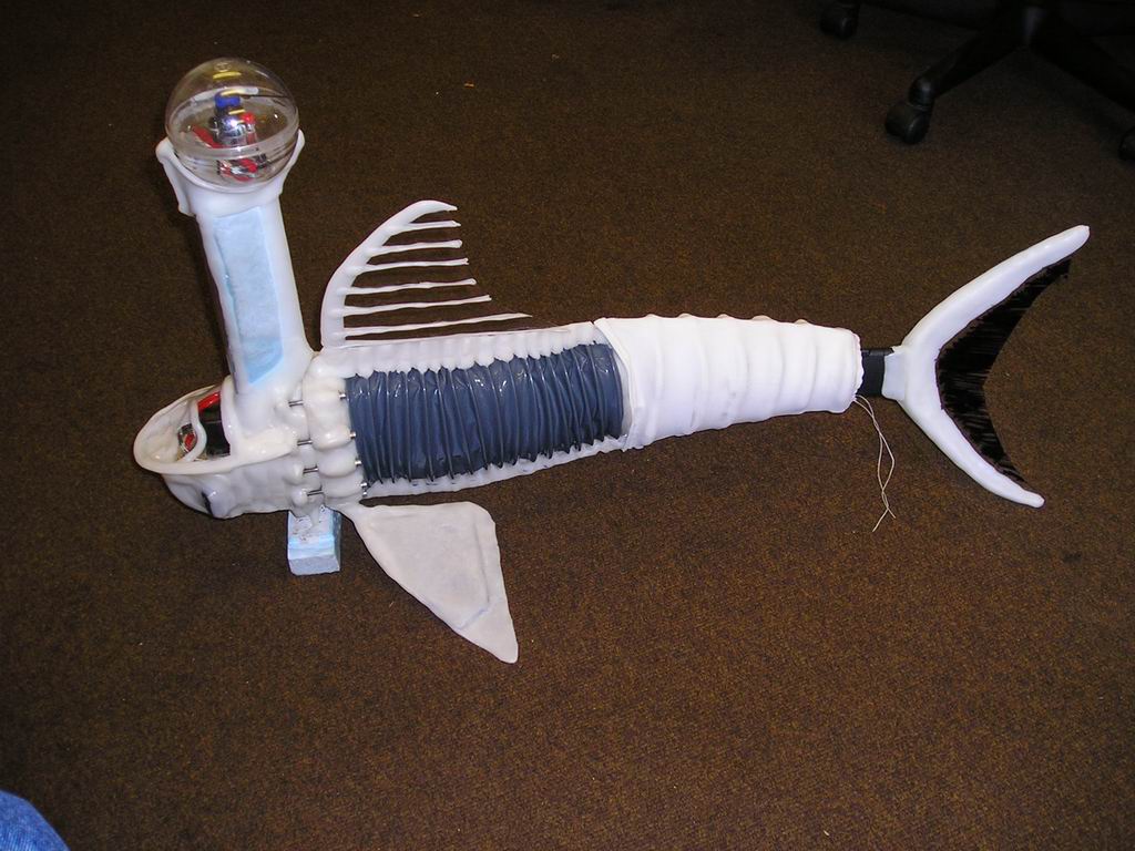 Robot